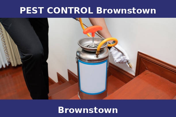 PEST CONTROL Brownstown